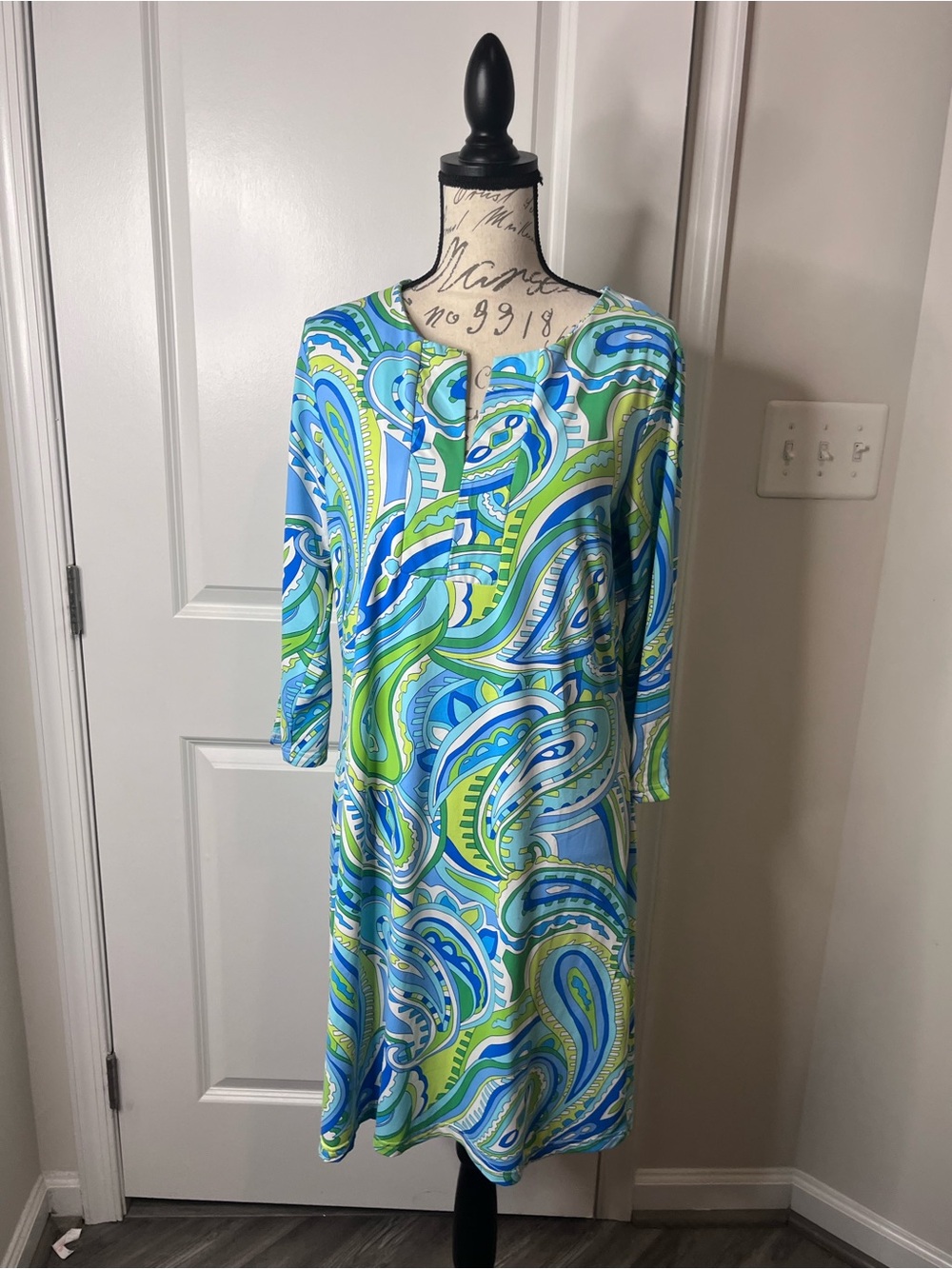 Barbara Gerwit Paisley Print Blue & Green Dress
